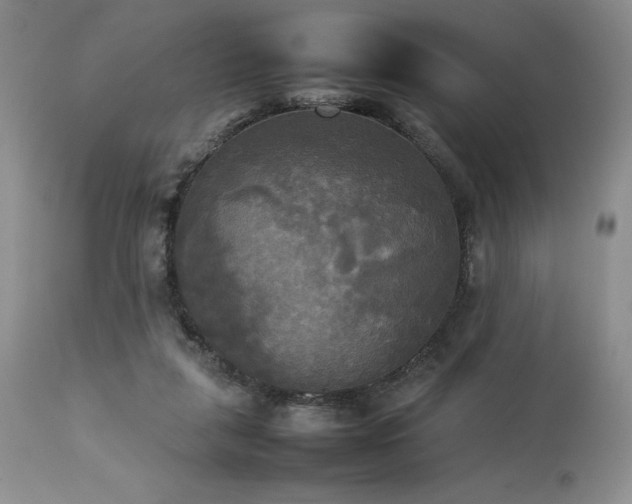 X0000114110259200910051520