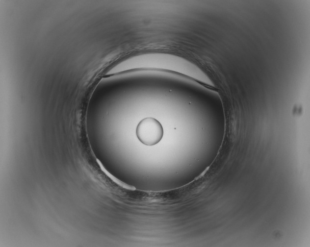X0000114110260200910051520