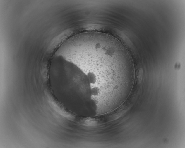 X0000114110261200910051520