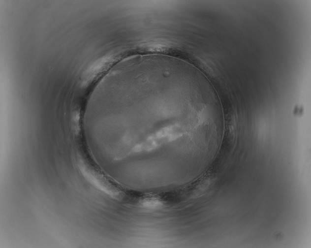 X0000114110262200910051520