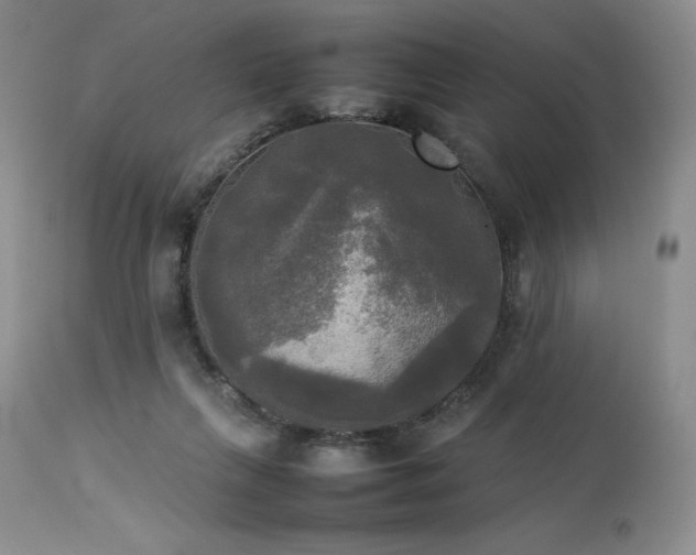 X0000114110263200910051520