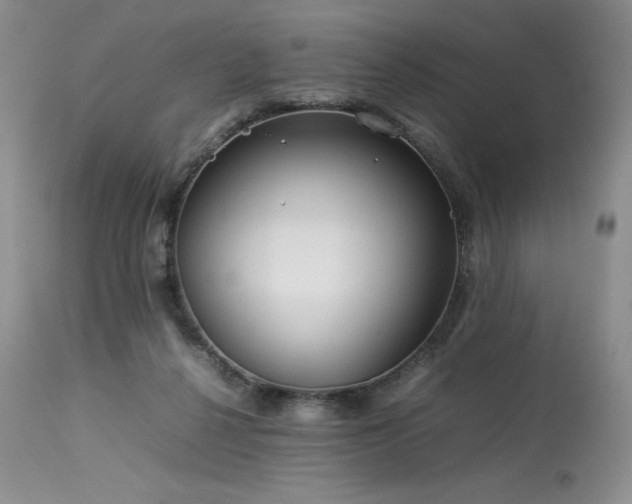 X0000114110264200910051520