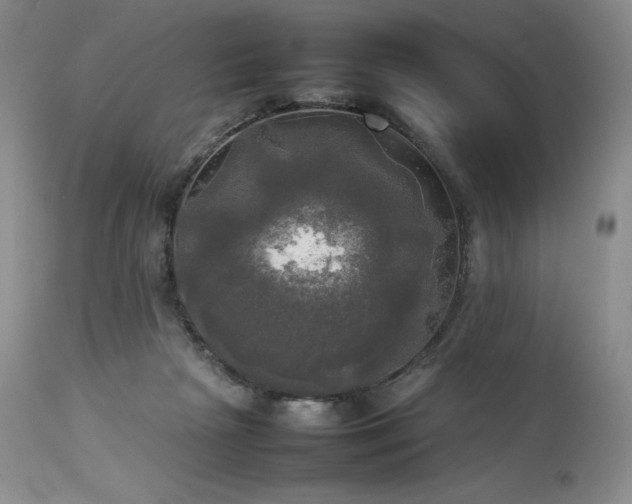 X0000114110265200910051520
