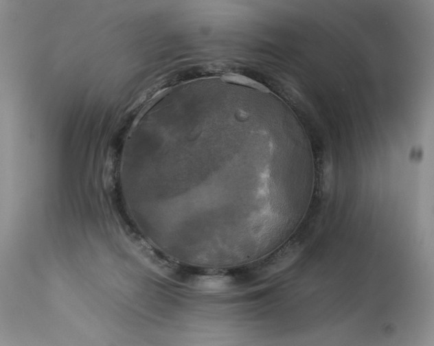 X0000114110266200910051521