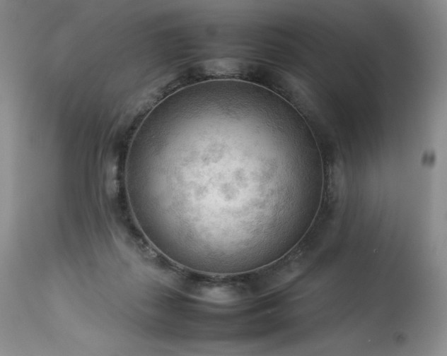 X0000114110267200910051521
