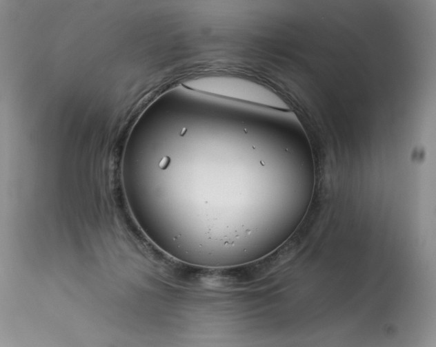 X0000114110268200910051521