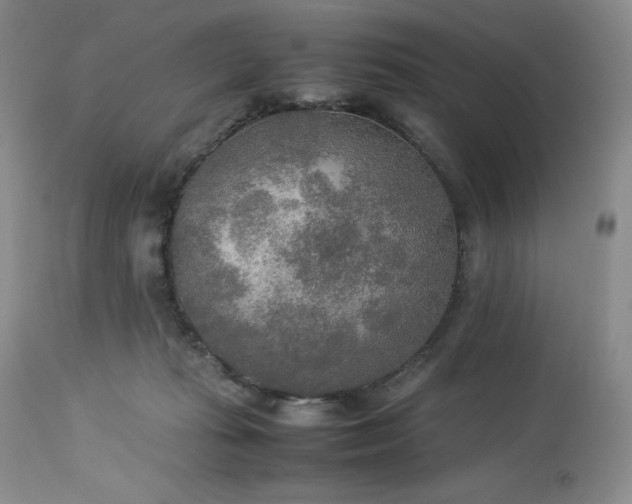 X0000114110269200910051521