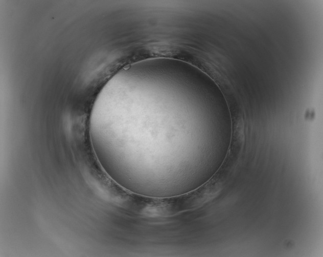 X0000114110271200910051521