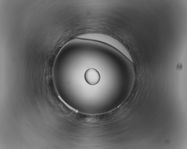 X0000114110272200910051521