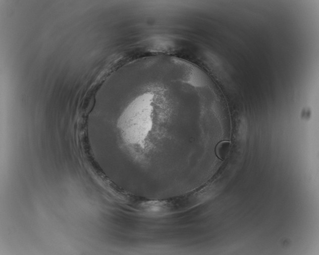 X0000114110273200910051521