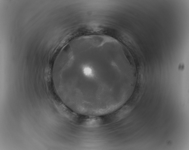 X0000114110274200910051521