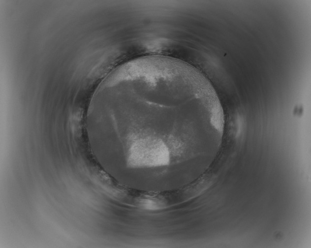 X0000114110275200910051521