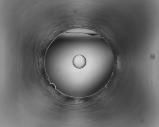 X0000114110276200910051521