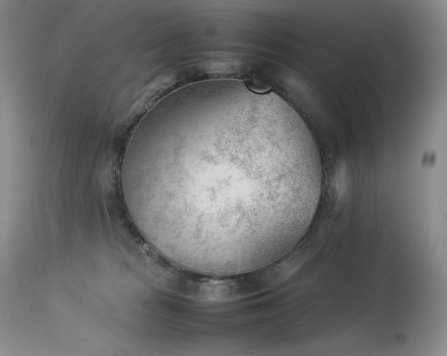 X0000114110277200910051521
