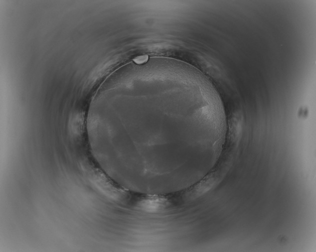 X0000114110278200910051521