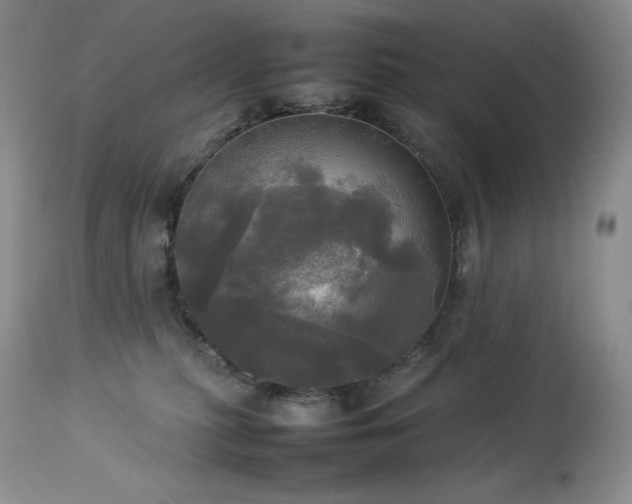 X0000114110279200910051521