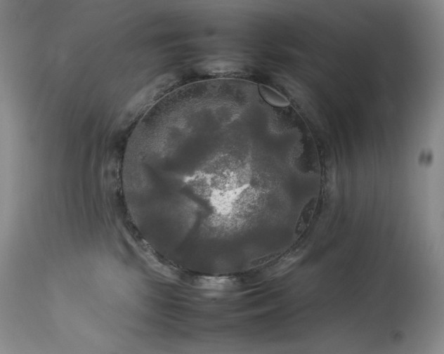X0000114110281200910051521