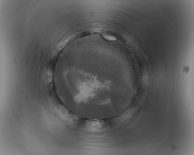 X0000114110282200910051521