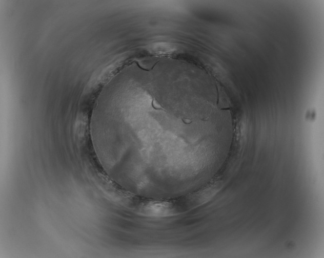 X0000114110283200910051521
