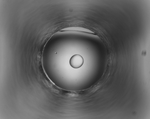 X0000114110284200910051521