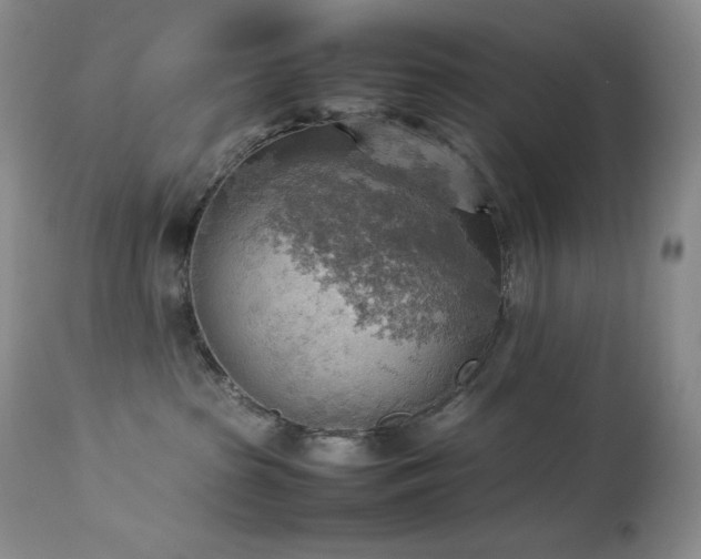 X0000114110285200910051521