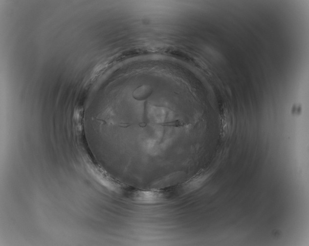 X0000114110286200910051521