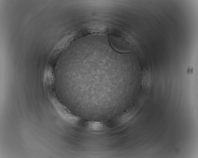 X0000114110287200910051521