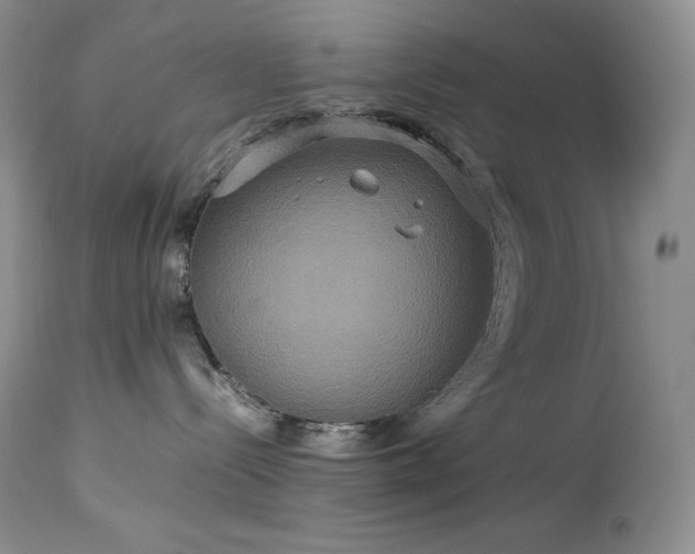 X0000114110288200910051521
