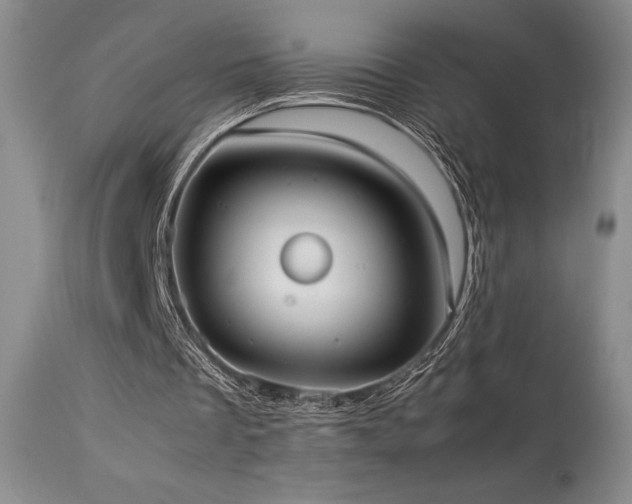 X0000114110289200910051520