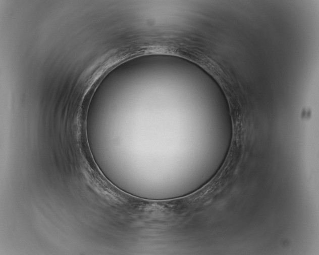 X0000114110290200910051520