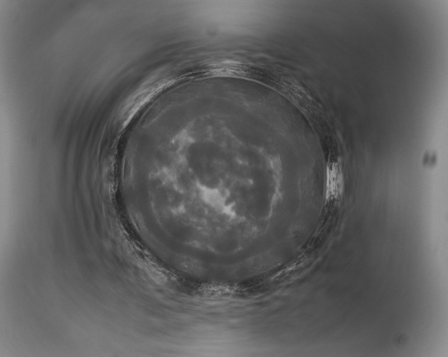 X0000114110291200910051520