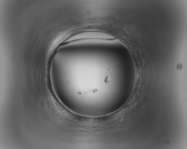 X0000114110293200910051520