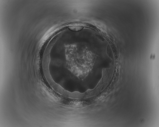 X0000114110295200910051520