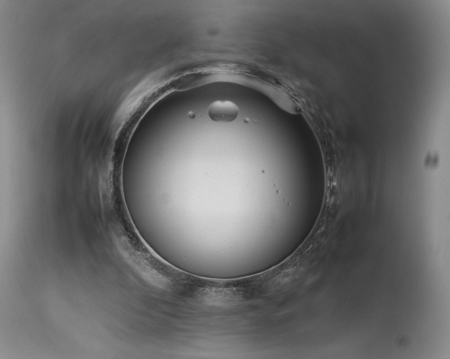 X0000114110296200910051520