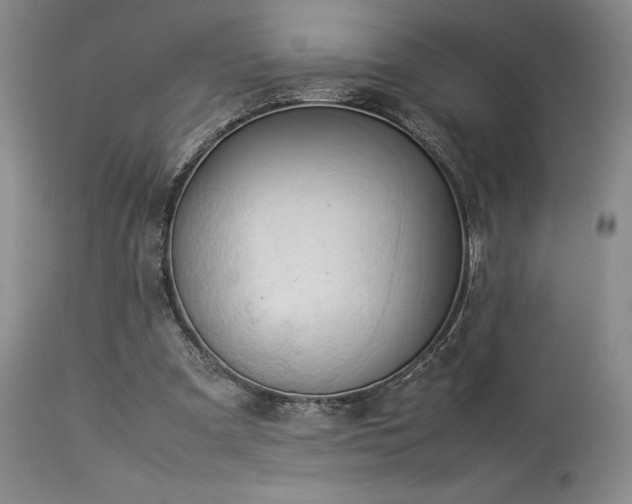 X0000114110297200910051520