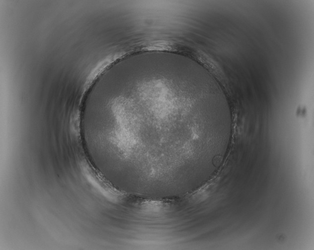 X0000114110298200910051520