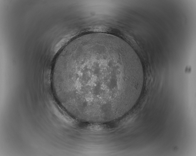 X0000114110299200910051520