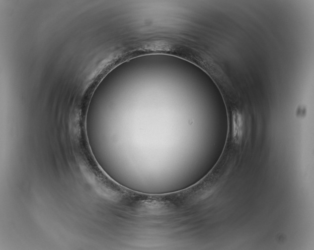 X0000114110300200910051520