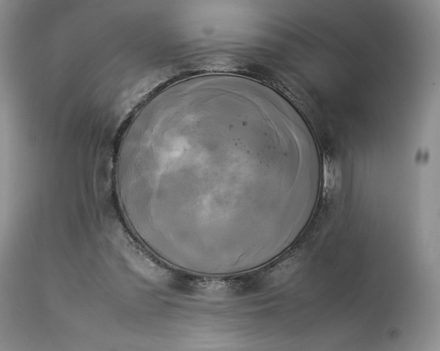 X0000114110301200910051520