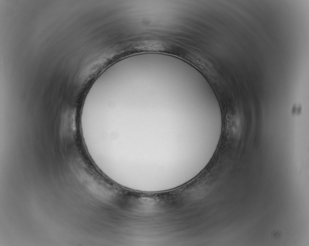 X0000114110302200910051520