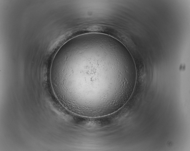 X0000114110303200910051520