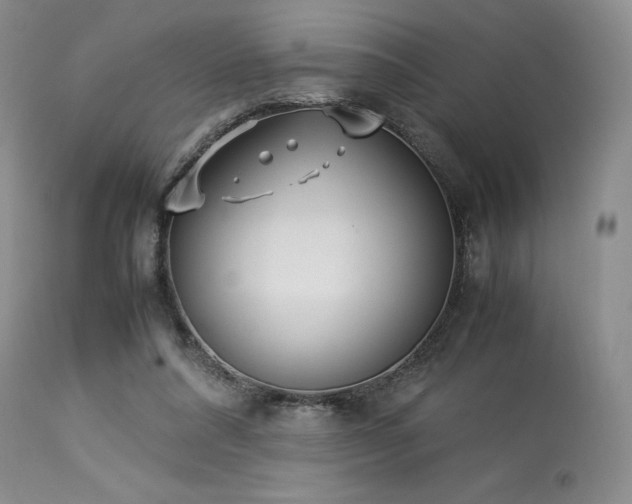 X0000114110304200910051520