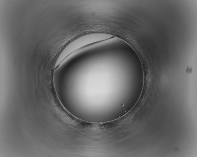 X0000114110305200910051520