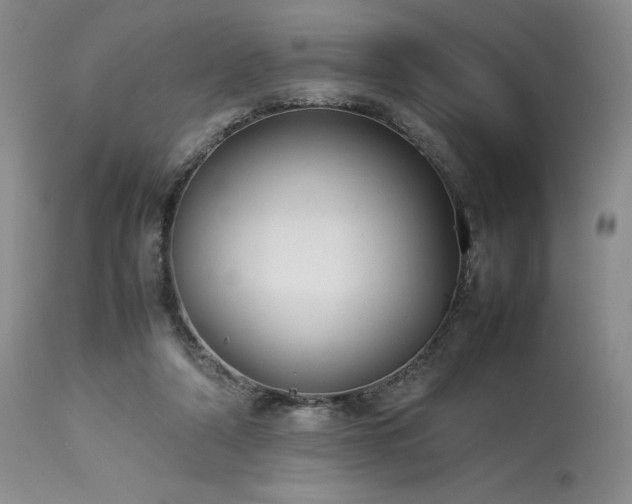 X0000114110306200910051520