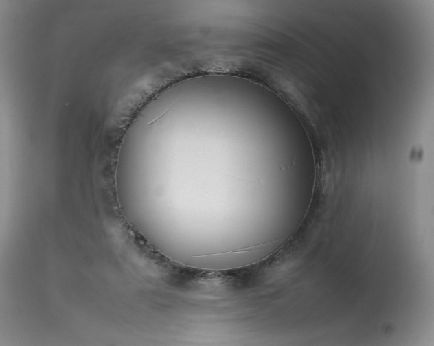 X0000114110307200910051520