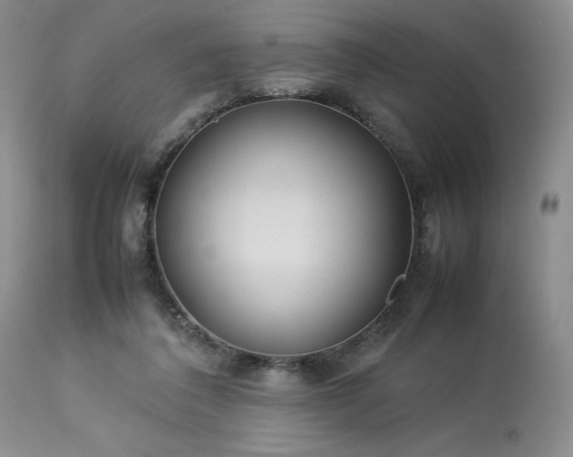 X0000114110308200910051520