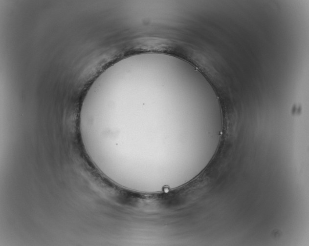 X0000114110309200910051520