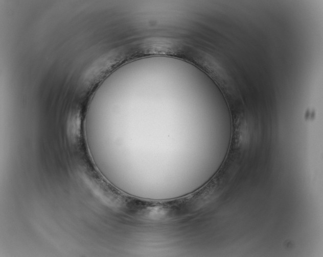 X0000114110310200910051520