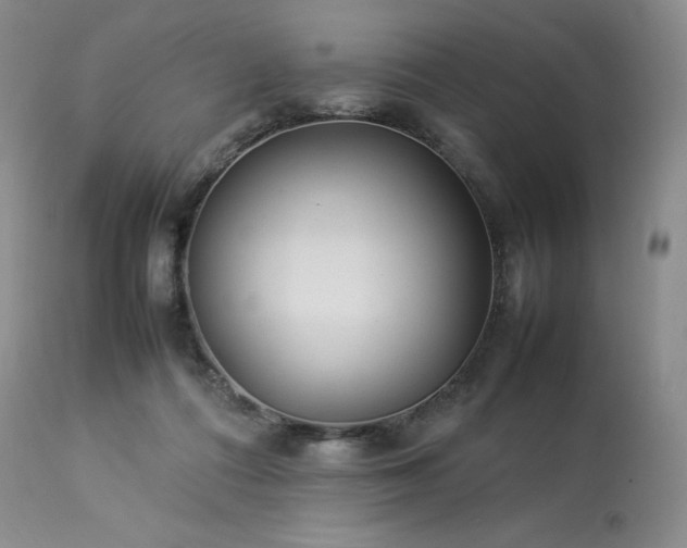 X0000114110312200910051520