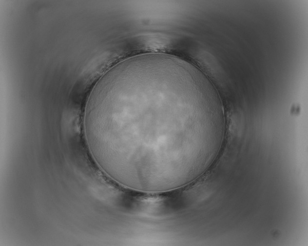 X0000114110313200910051520